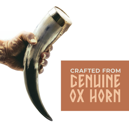 Curved Drinking Horn Bundle with Stand & Holster