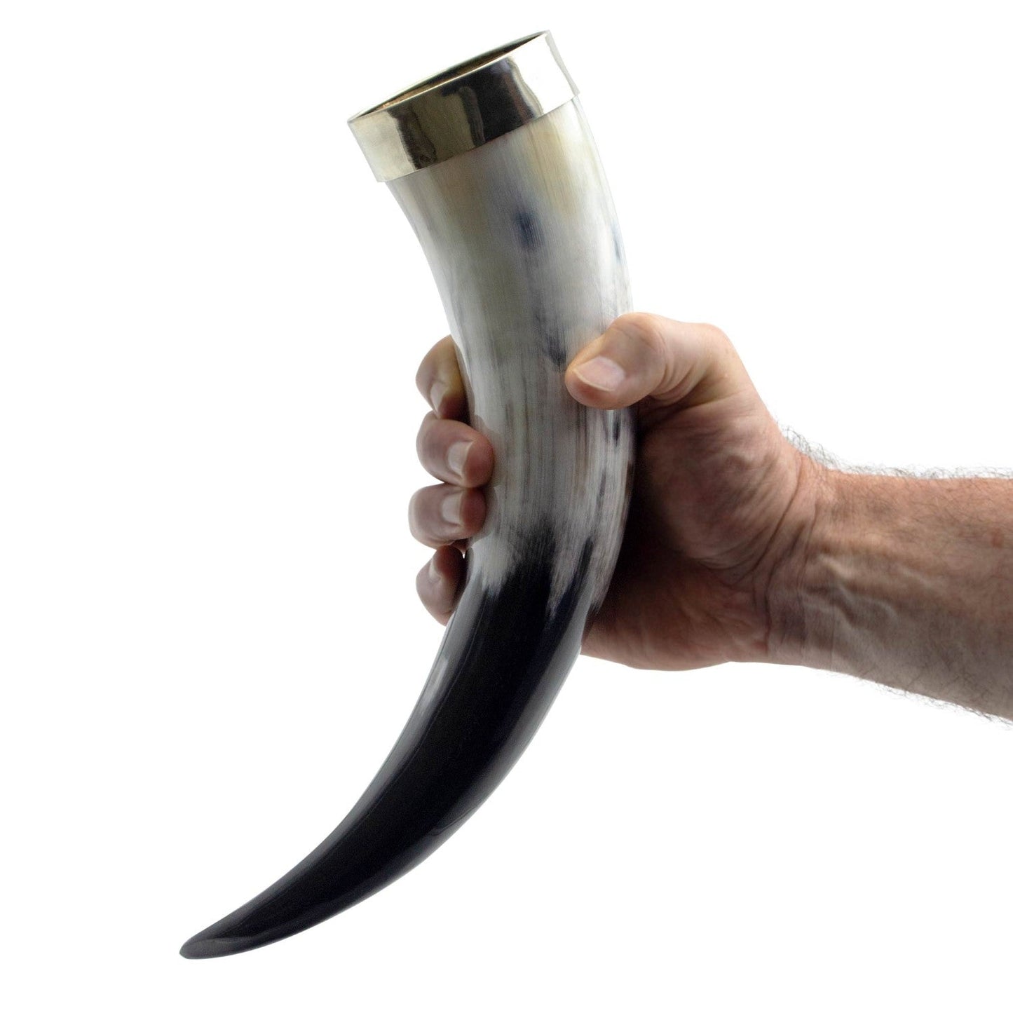 Curved Drinking Horn Bundle with Stand & Holster