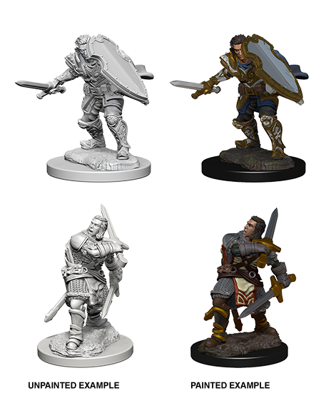 D&D: Nolzur's Marvelous Miniatures - Human Male Paladin