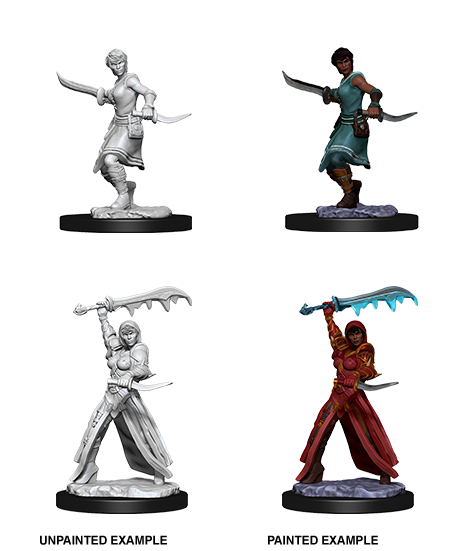 D&D: Nolzur's Marvelous Miniatures - Human Female Rogue - Super Anime Store