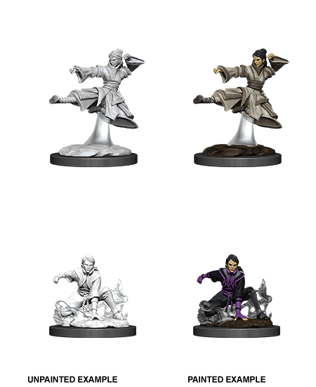 D&D: Nolzur's Marvelous Miniatures - Female Human Monk - Super Anime Store