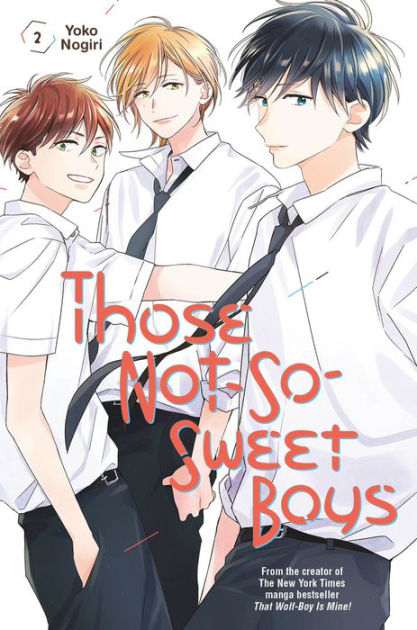 Those Not-So-Sweet Boys Vol 2