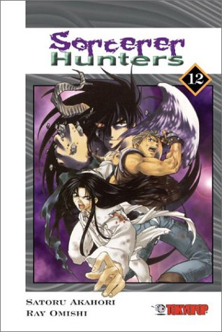 Sorcerer Hunters Vol 12 Oversized