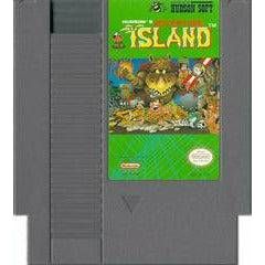 Adventure Island - NES (LOOSE)