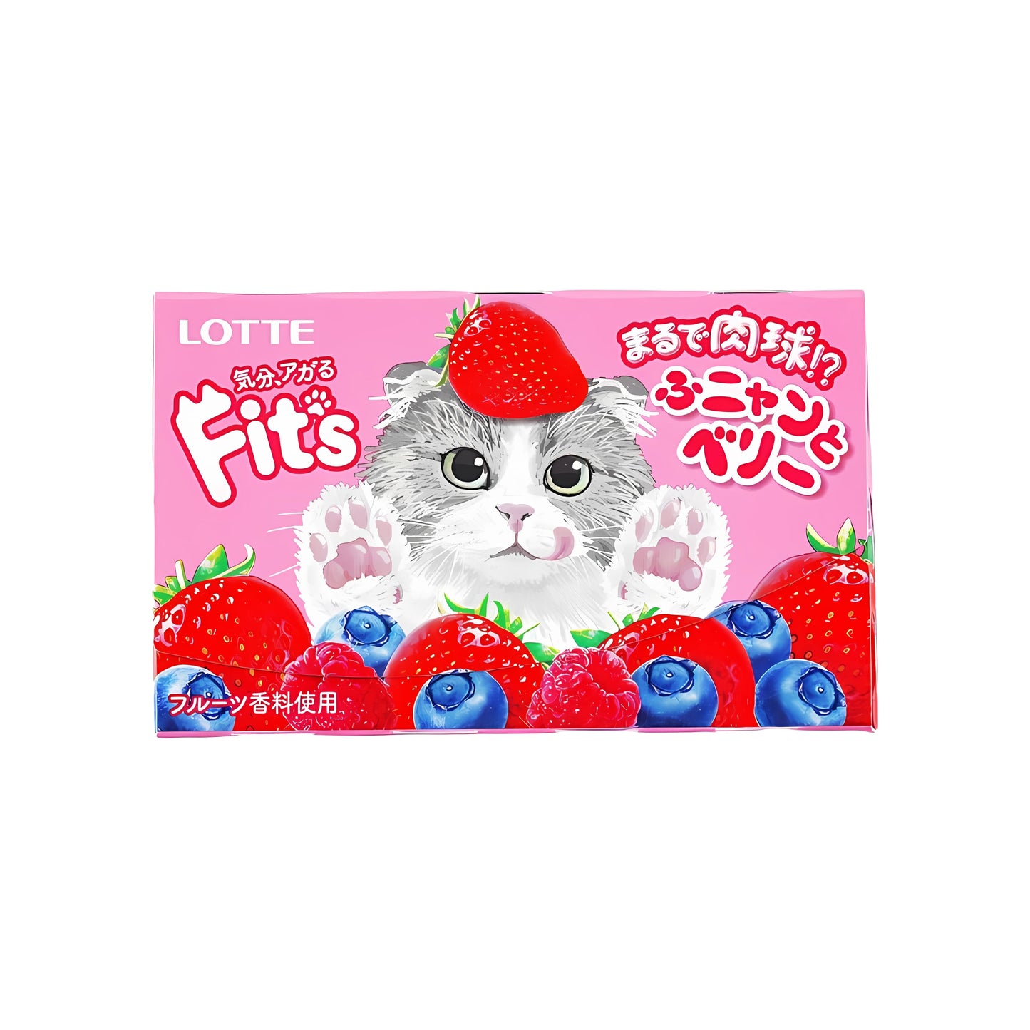 Fit's Funyanto Berry Gum (Japan)