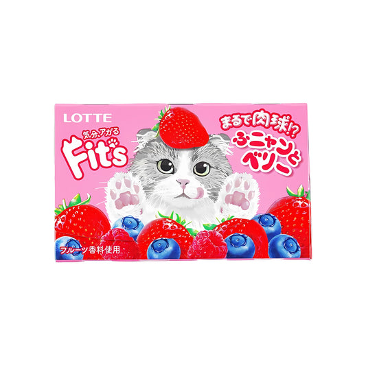 Fit's Funyanto Berry Gum (Japan)