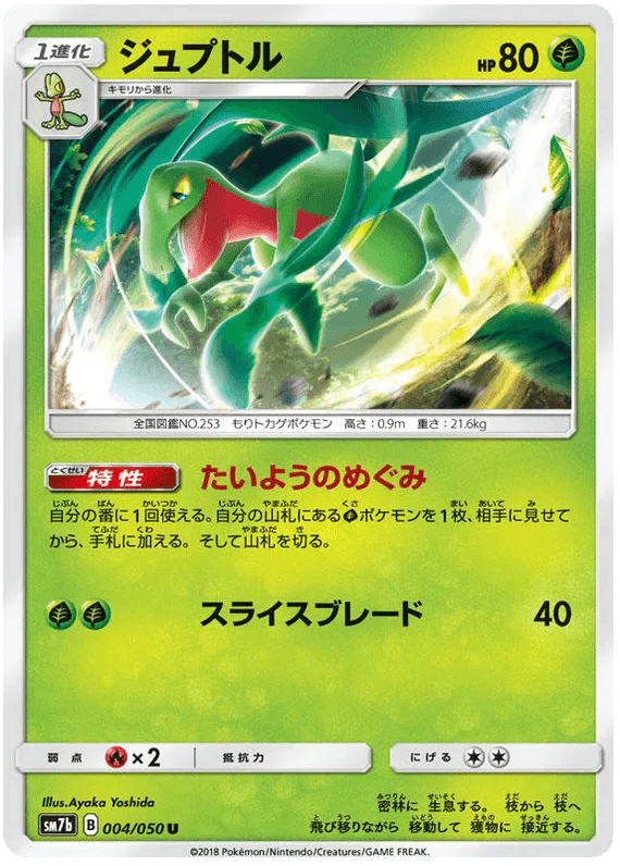 Grovyle (004/050) [Fairy Rise]