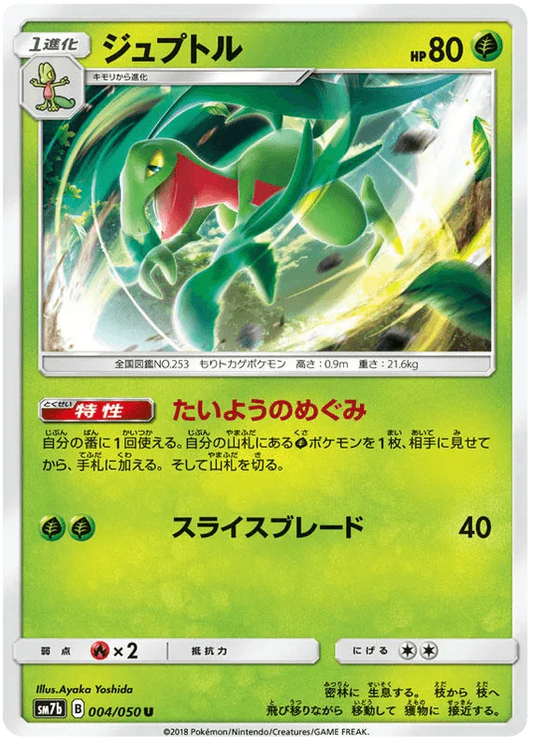 Grovyle (004/050) [Fairy Rise]