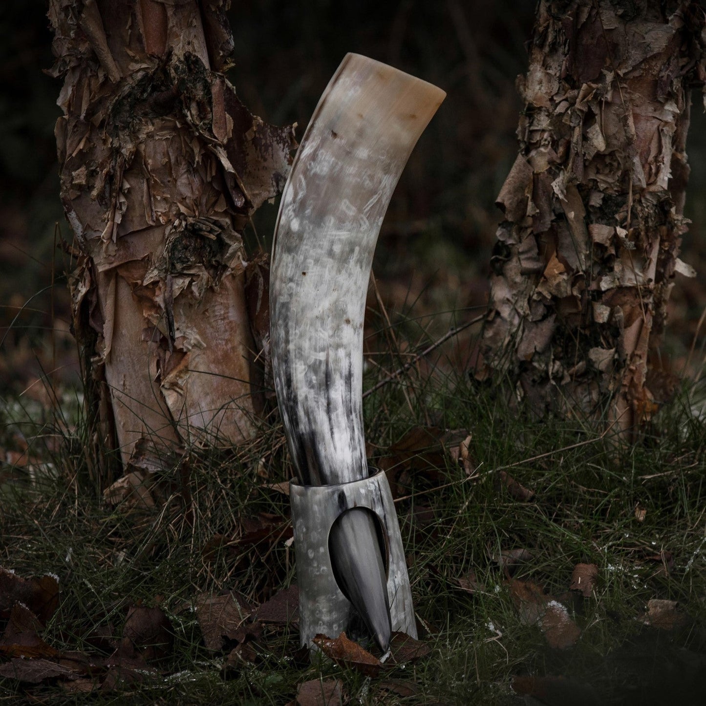 Curved Drinking Horn Bundle with Stand & Holster