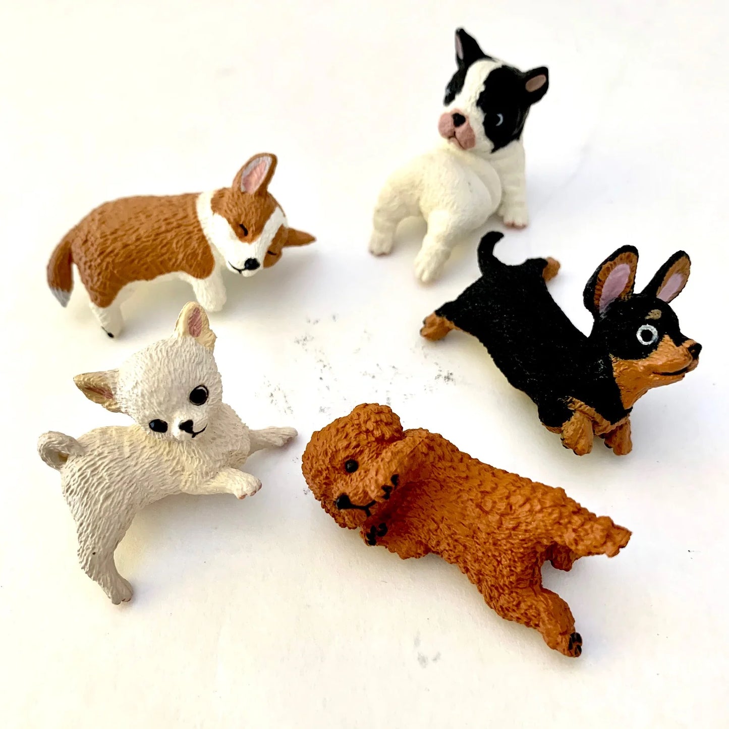 Fufuchi Resting Dogs Blind Box (1 Blind Box)