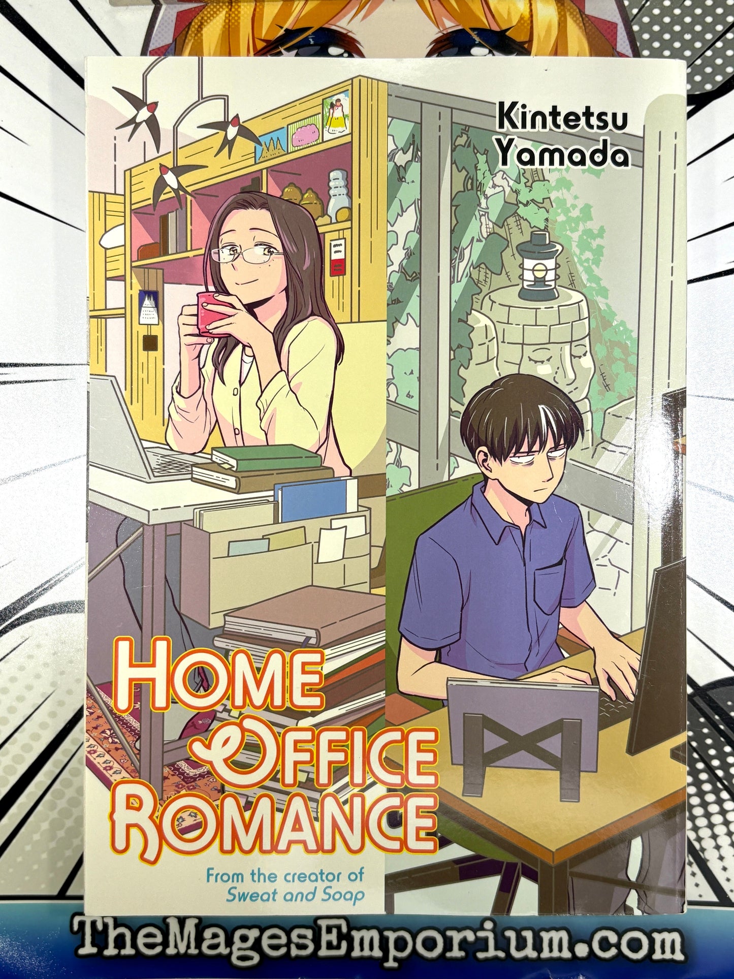 Home Office Romance