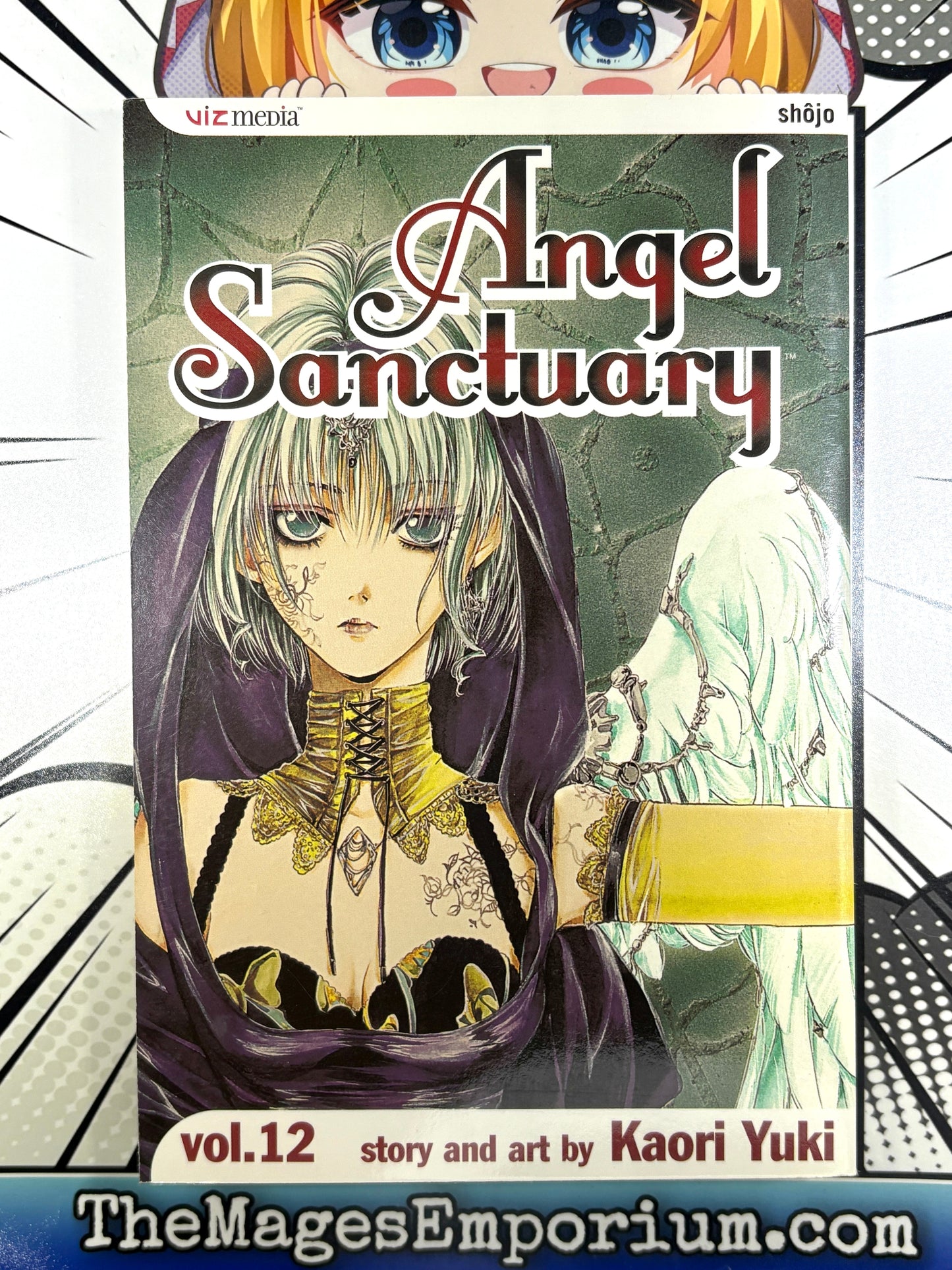 Angel Sanctuary Vol 12