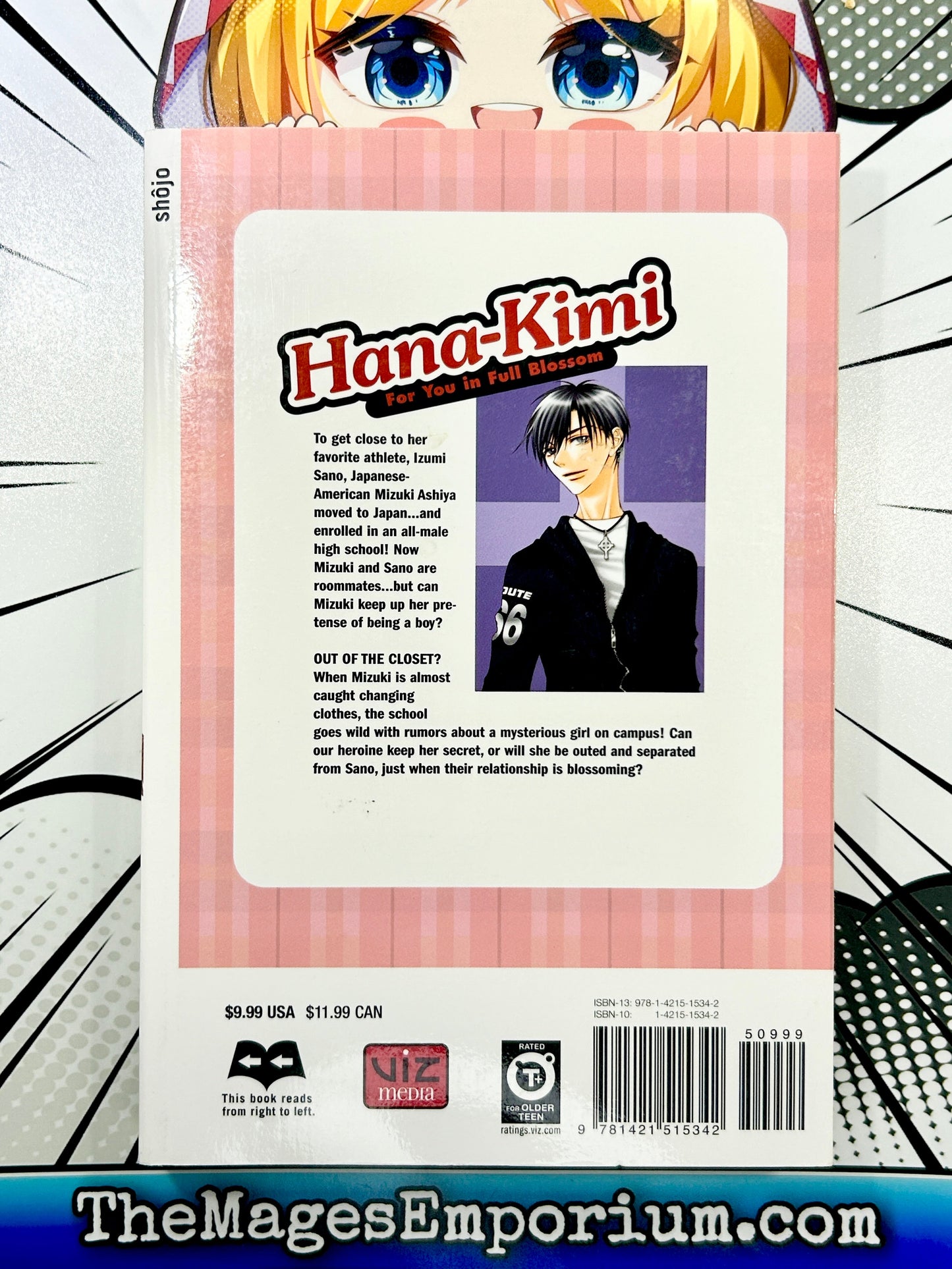 Hana-Kimi Vol 22