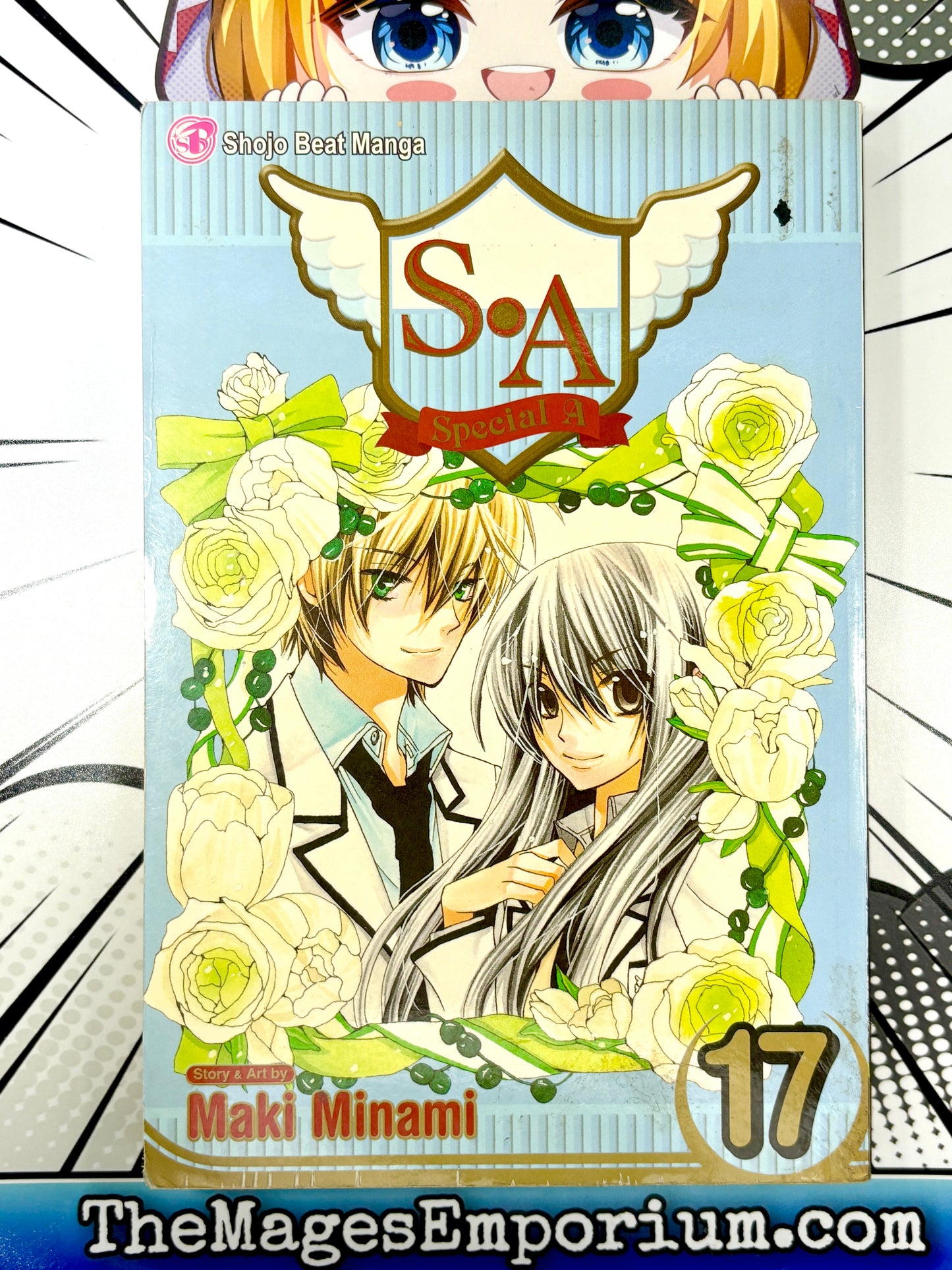 Special A Vol 17