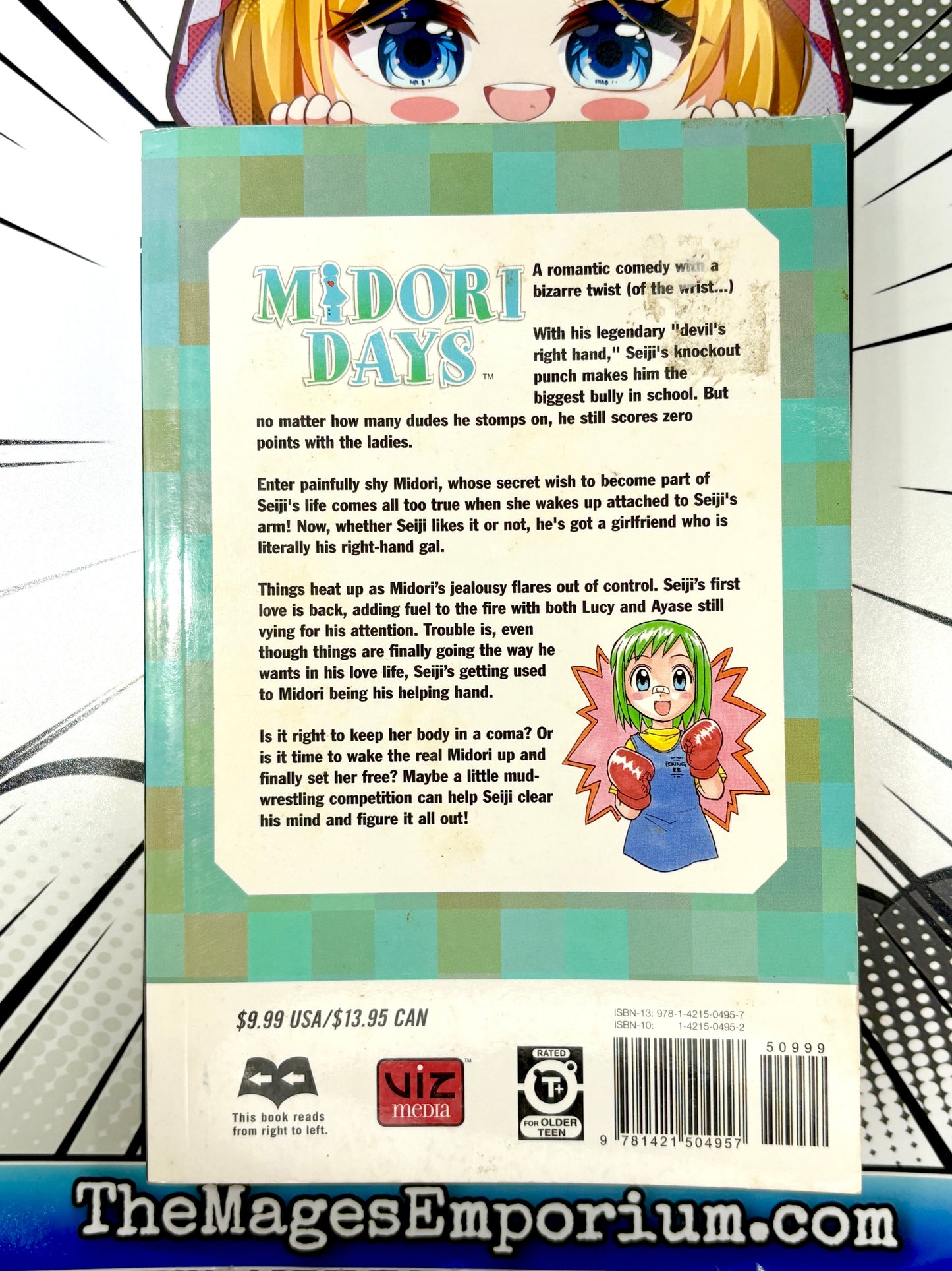 Midori Days Vol 6