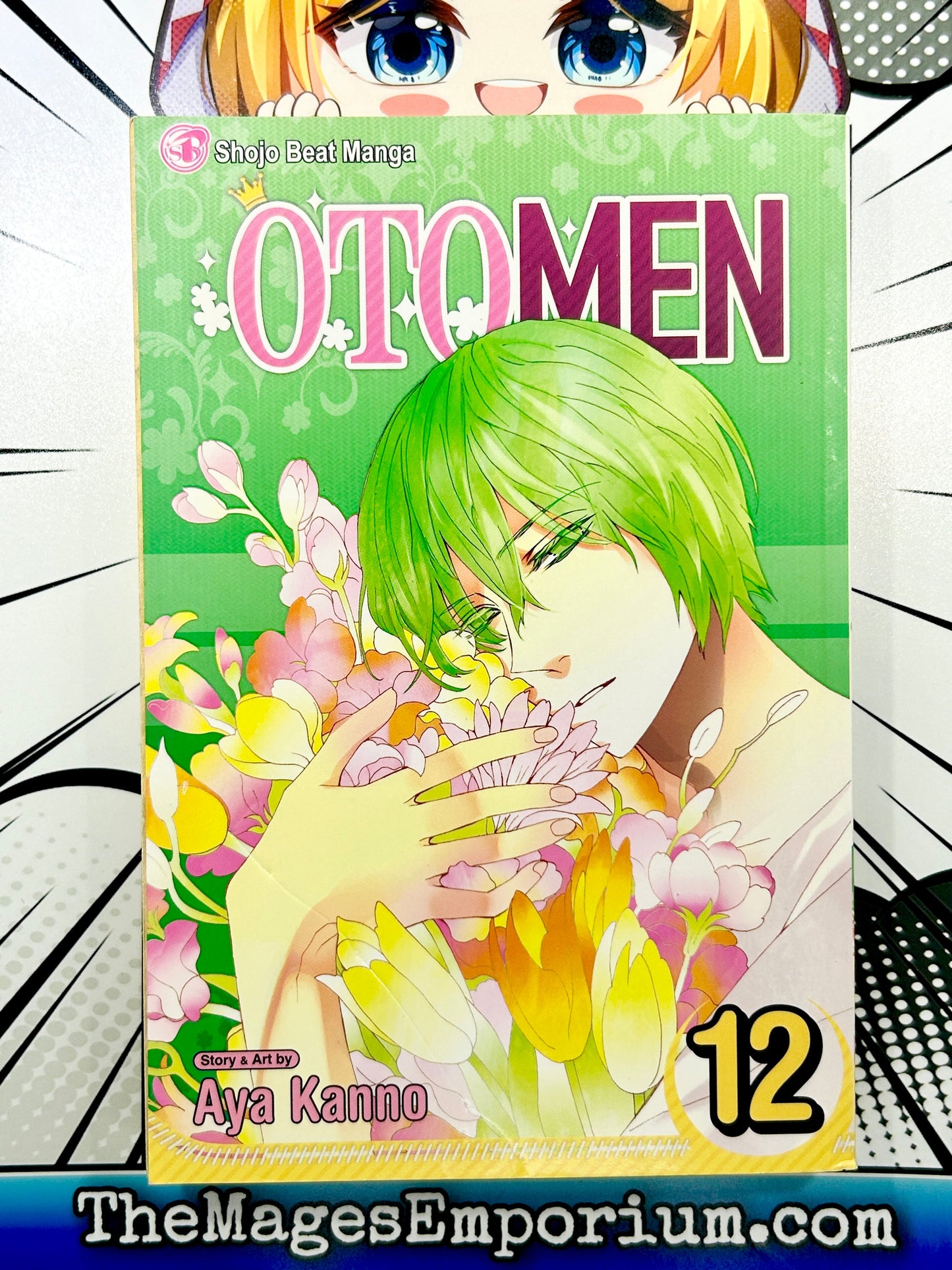 Otomen Vol 12