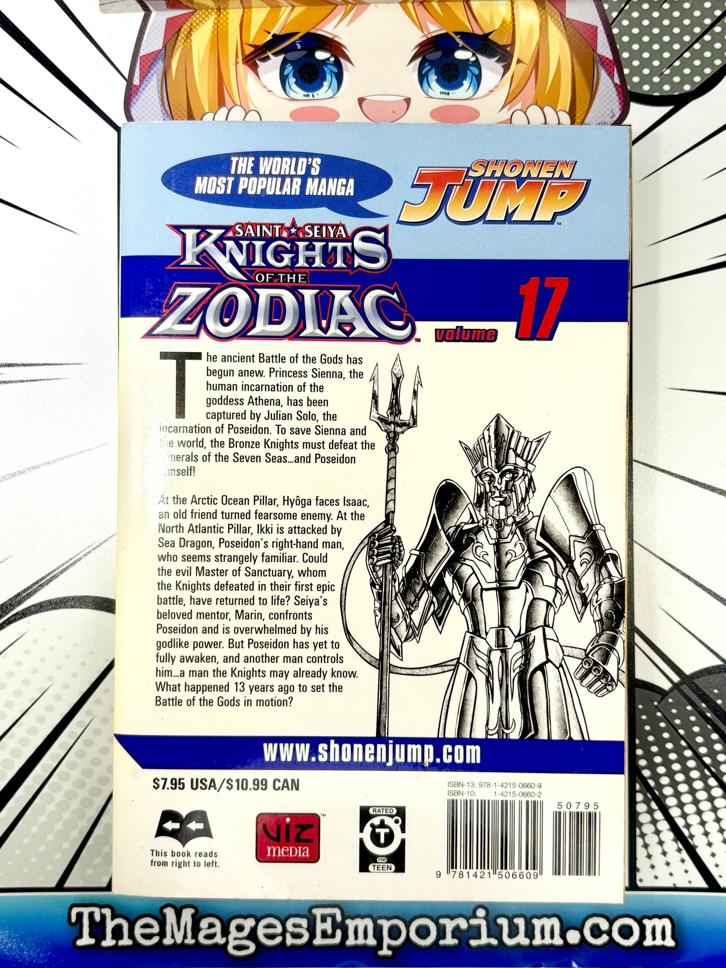 Knights of the Zodiac Vol 17