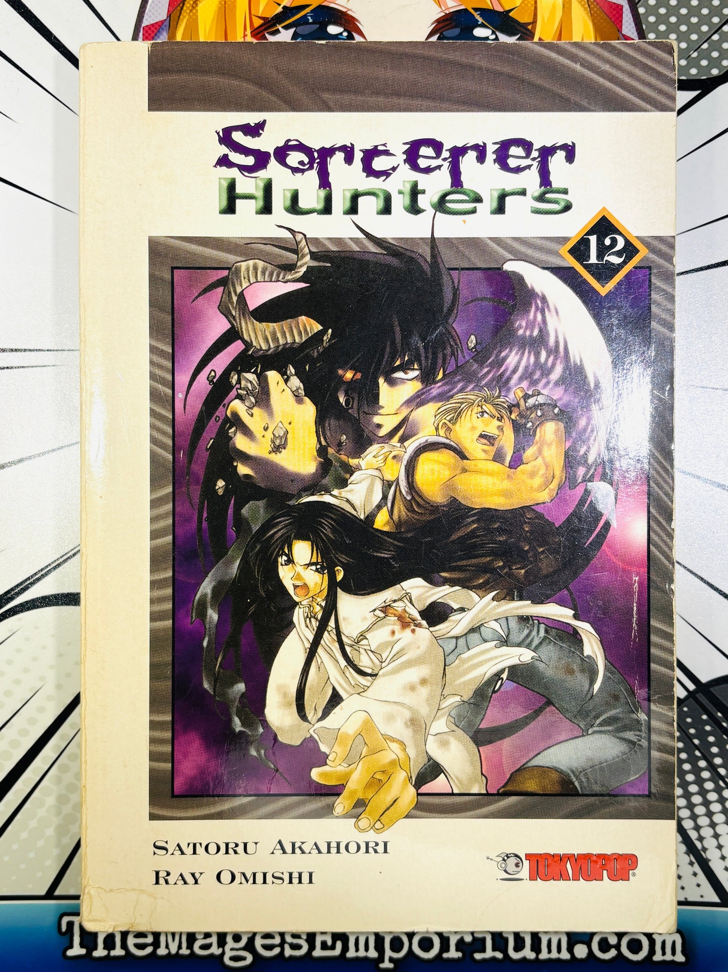 Sorcerer Hunters Vol 12 Oversized