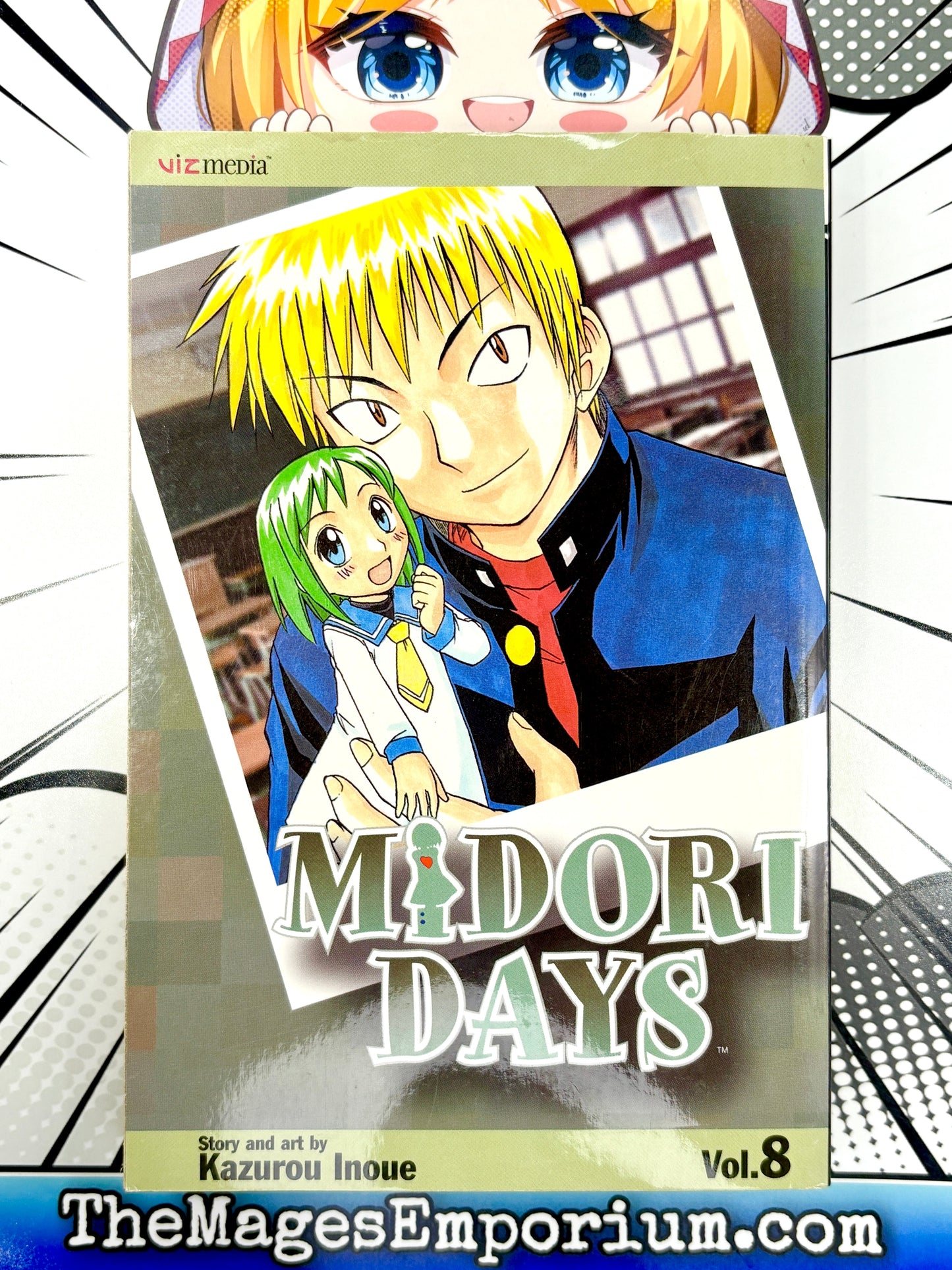 Midori Days Vol 8