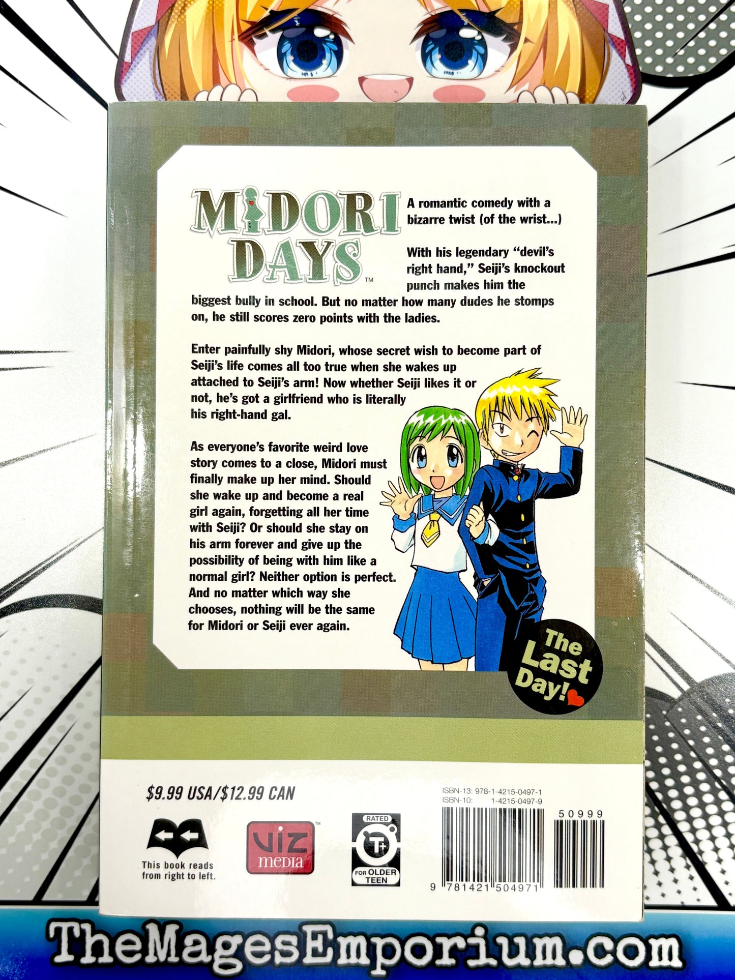 Midori Days Vol 8