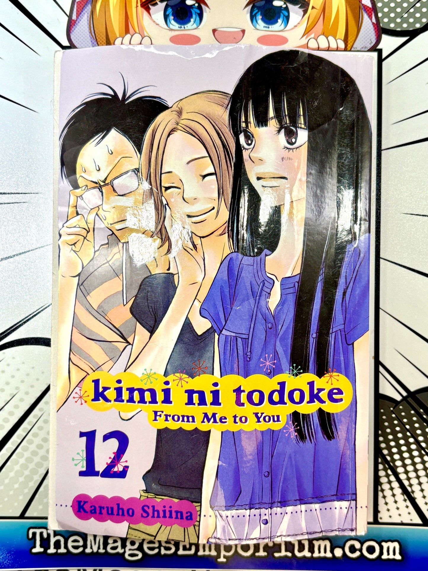 Kimi Ni Todoke Vol 12