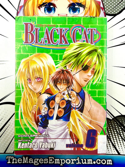 Black Cat Vol 6 Ex Library