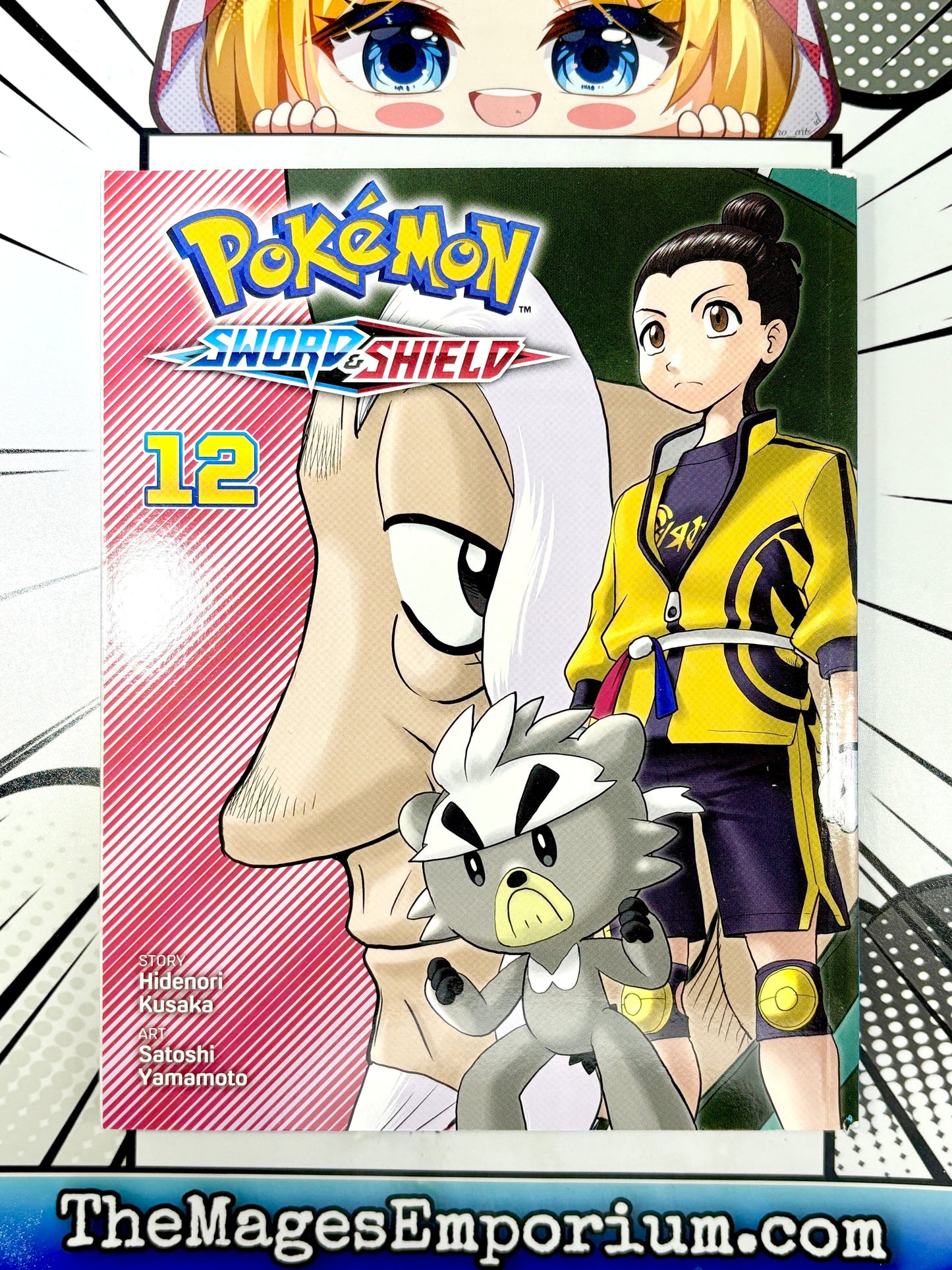 Pokemon Sword and Shield Vol 12
