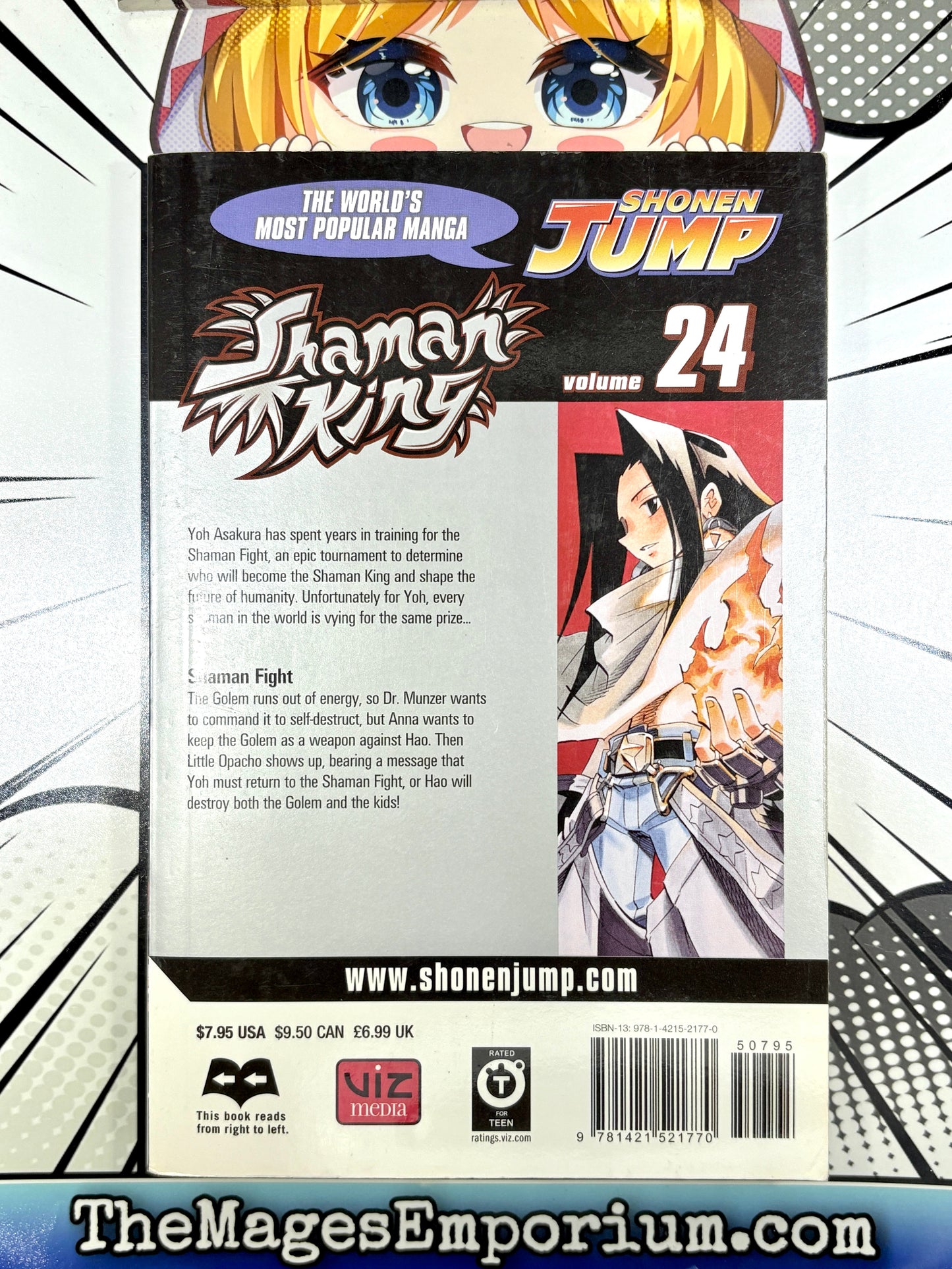Shaman King 24
