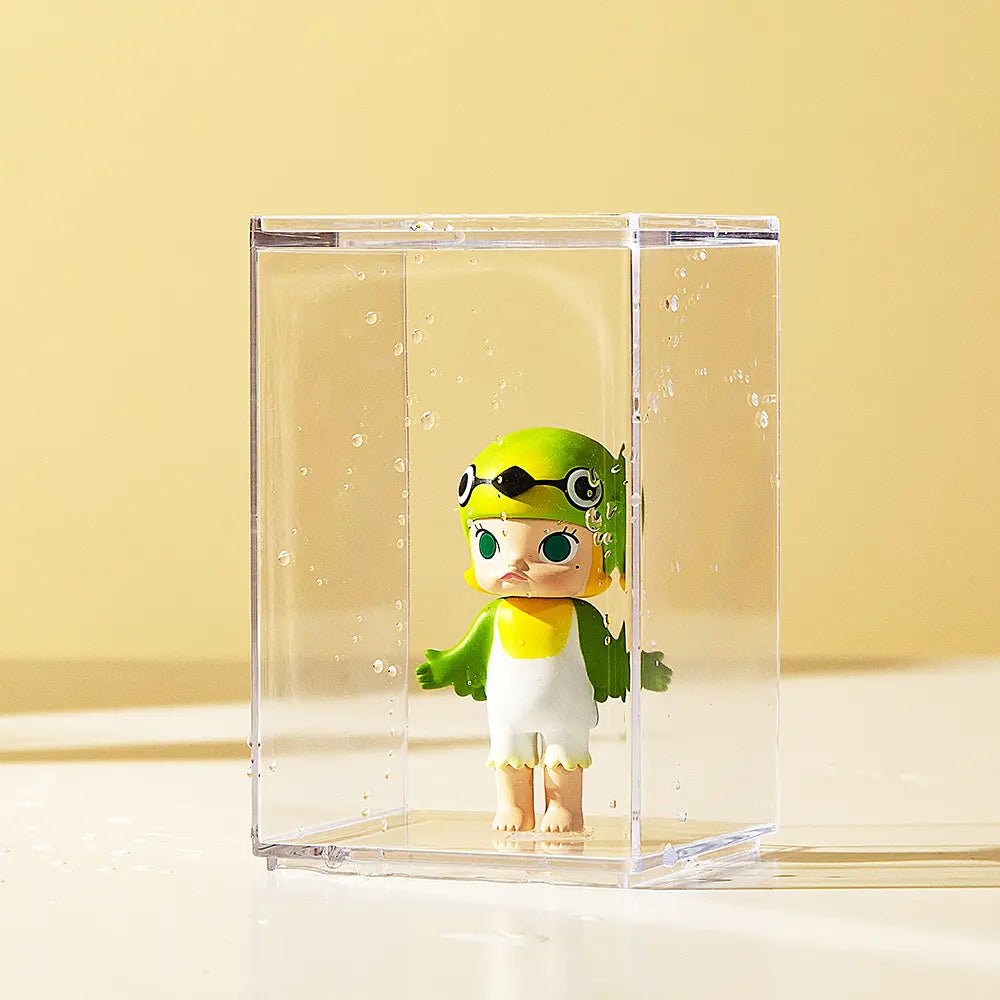 Transparent Individual Blind Box Display Case with Card Holder