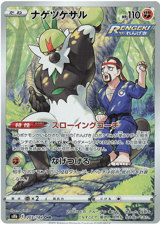 Passimian (203/184) [Vmax Climax]