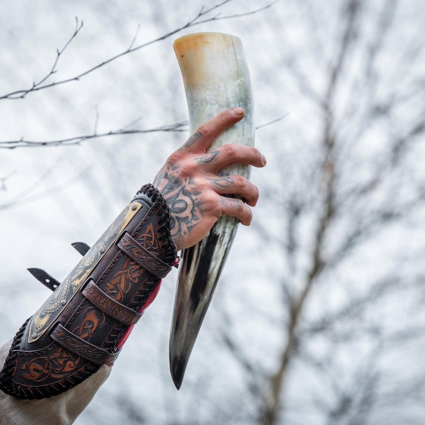 Curved Drinking Horn with Wooden Stand