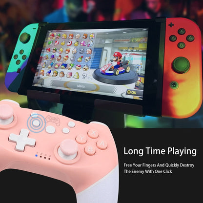 Nintendo Switch und PC-Controller