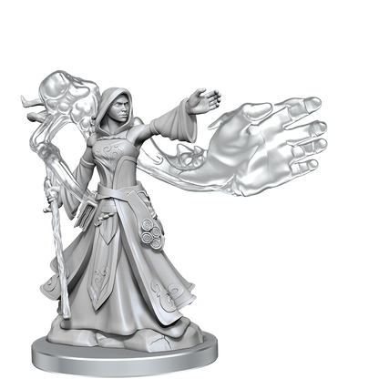 D&D: Frameworks - Elf Wizard Female