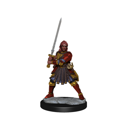 D&D: Frameworks - Human Fighter Female