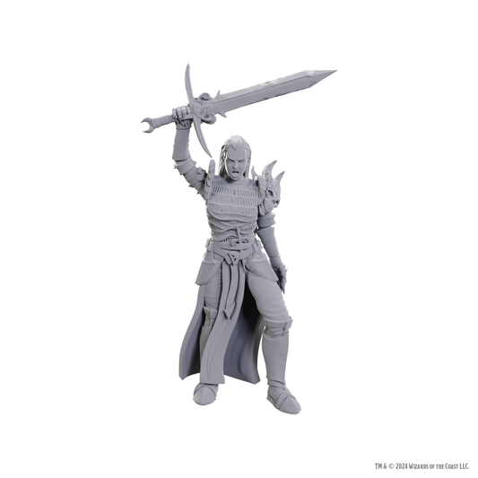 D&D: Nolzur's Marvelous Miniatures - Blackguard - Super Anime Store