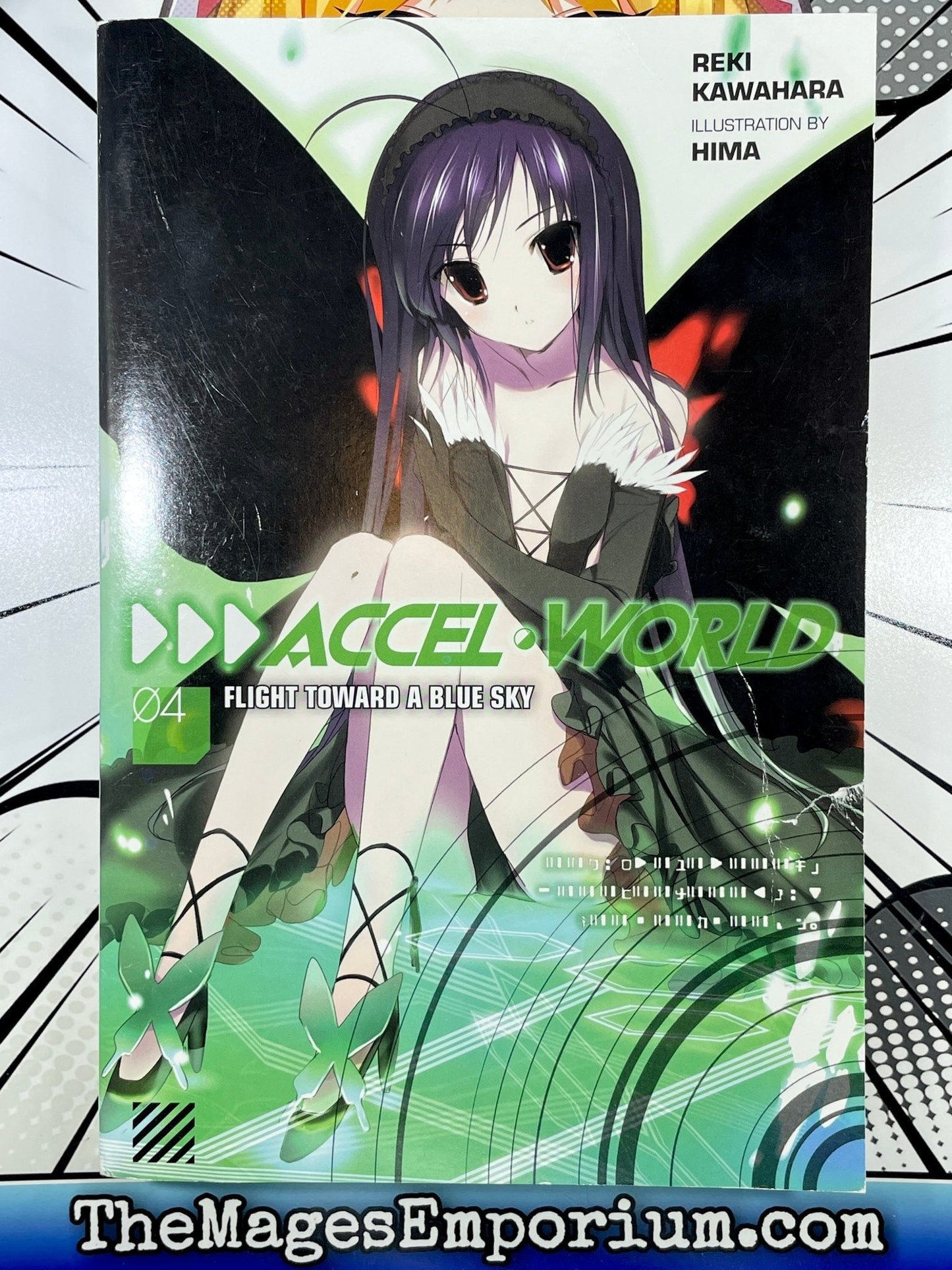 Accel World Flight Toward A Blue Sky Vol 4 Light Novel