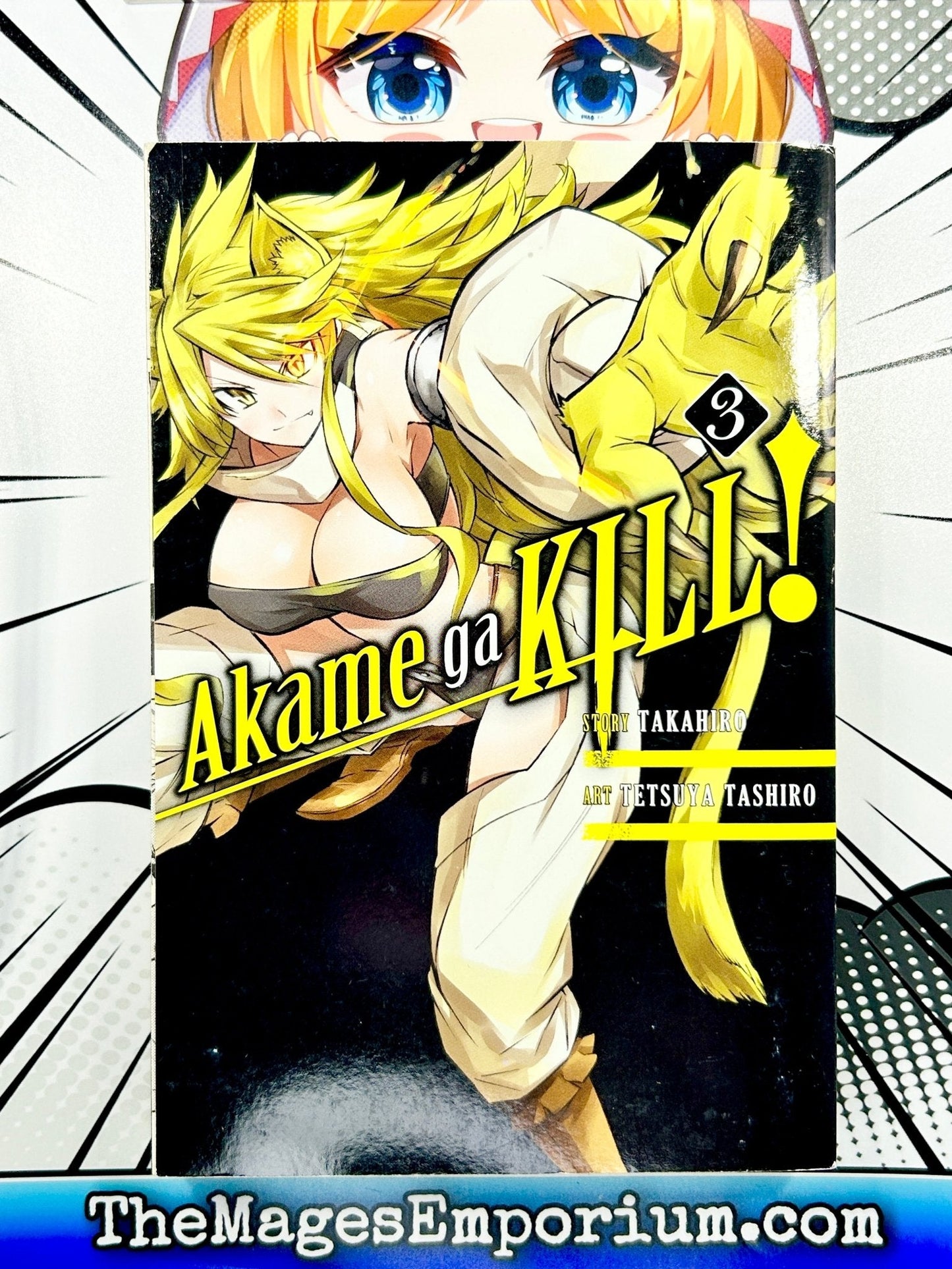Akame Ga Kill! Vol 3