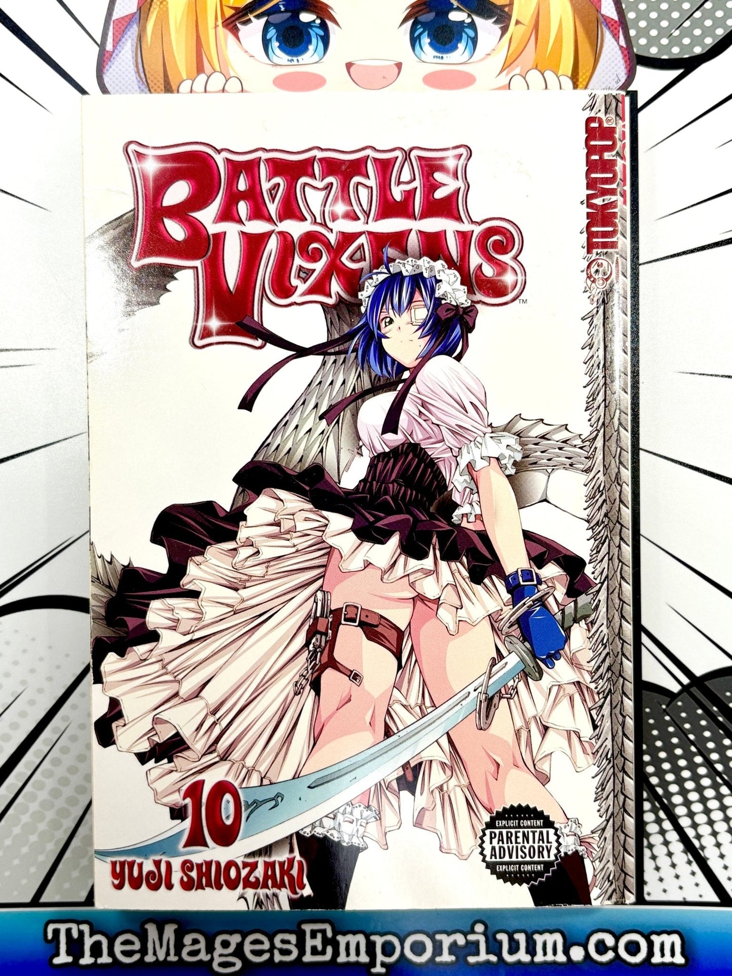 Battle Vixens Vol 10