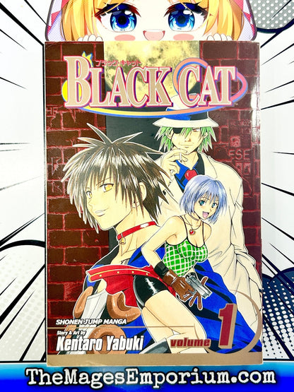 Black Cat Vol 1