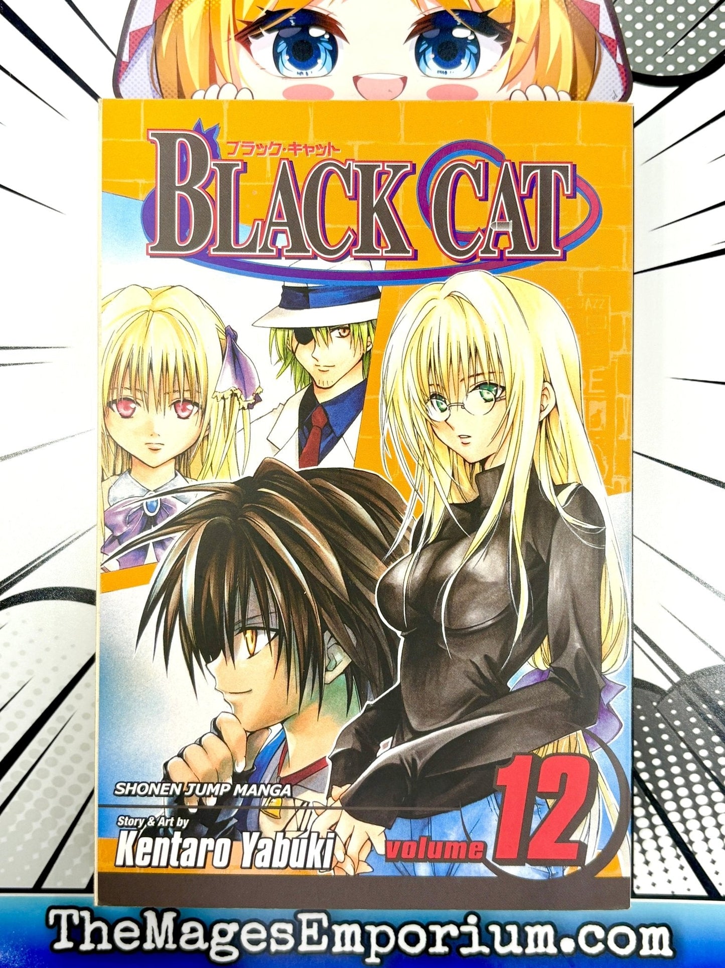 Black Cat Vol 12