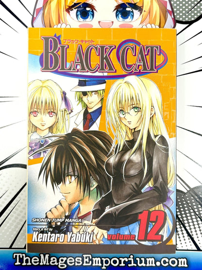 Black Cat Vol 12