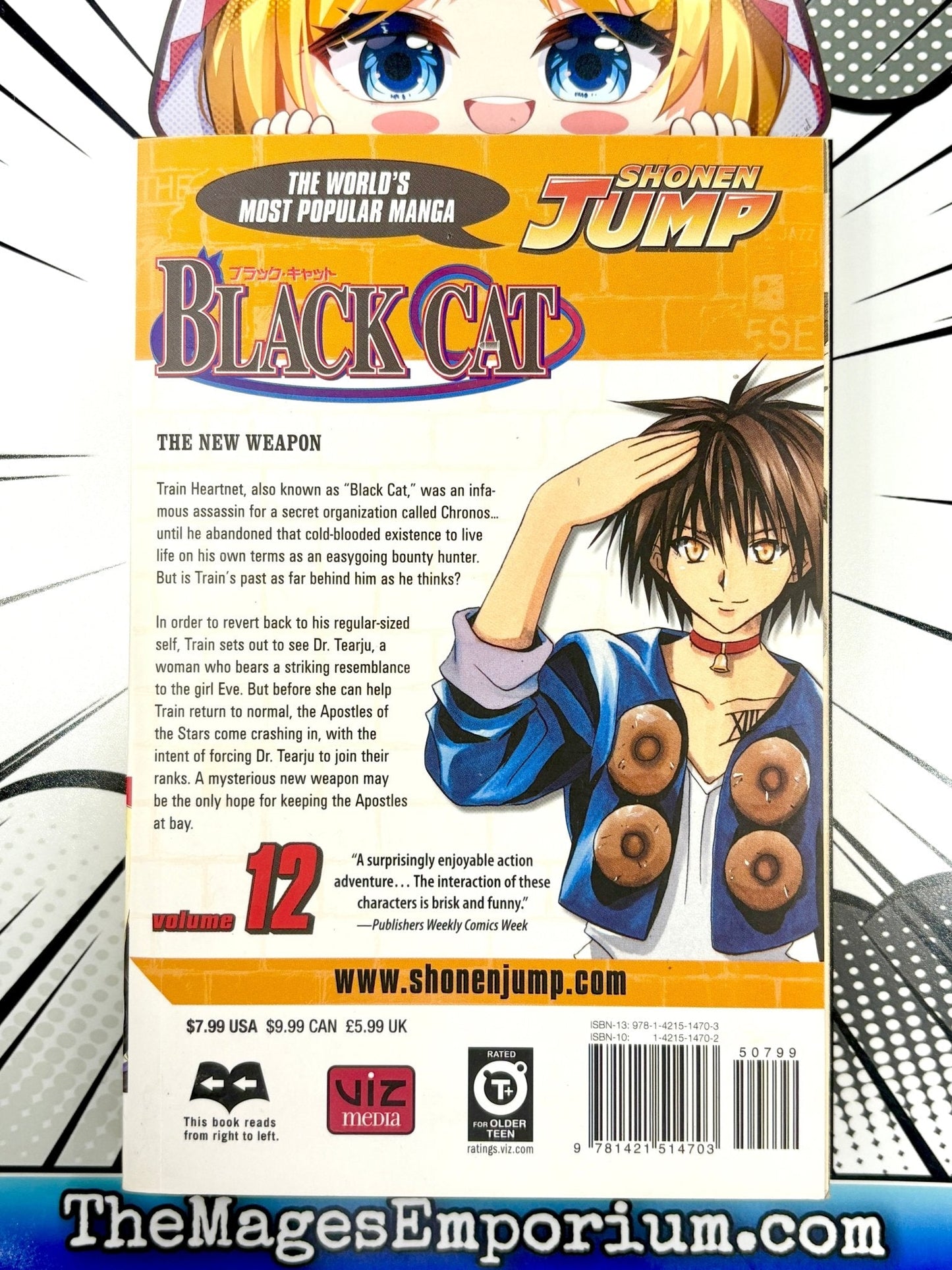 Black Cat Vol 12