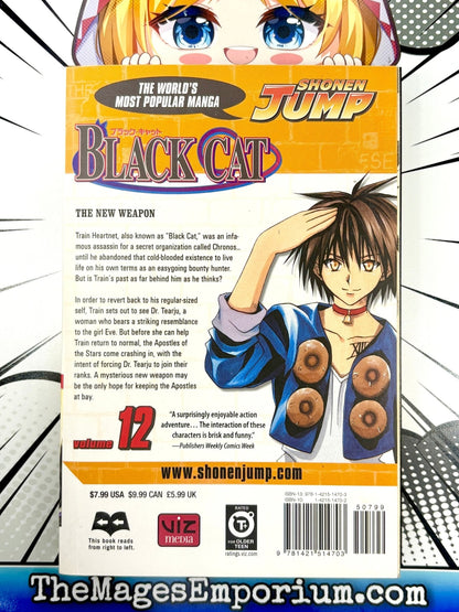 Black Cat Vol 12