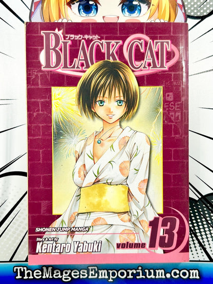 Black Cat Vol 13