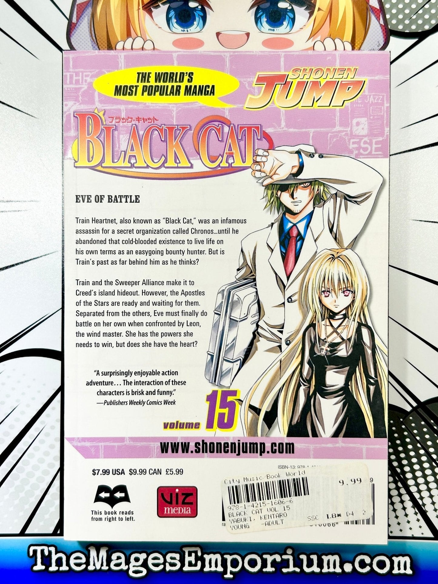 Black Cat Vol 15