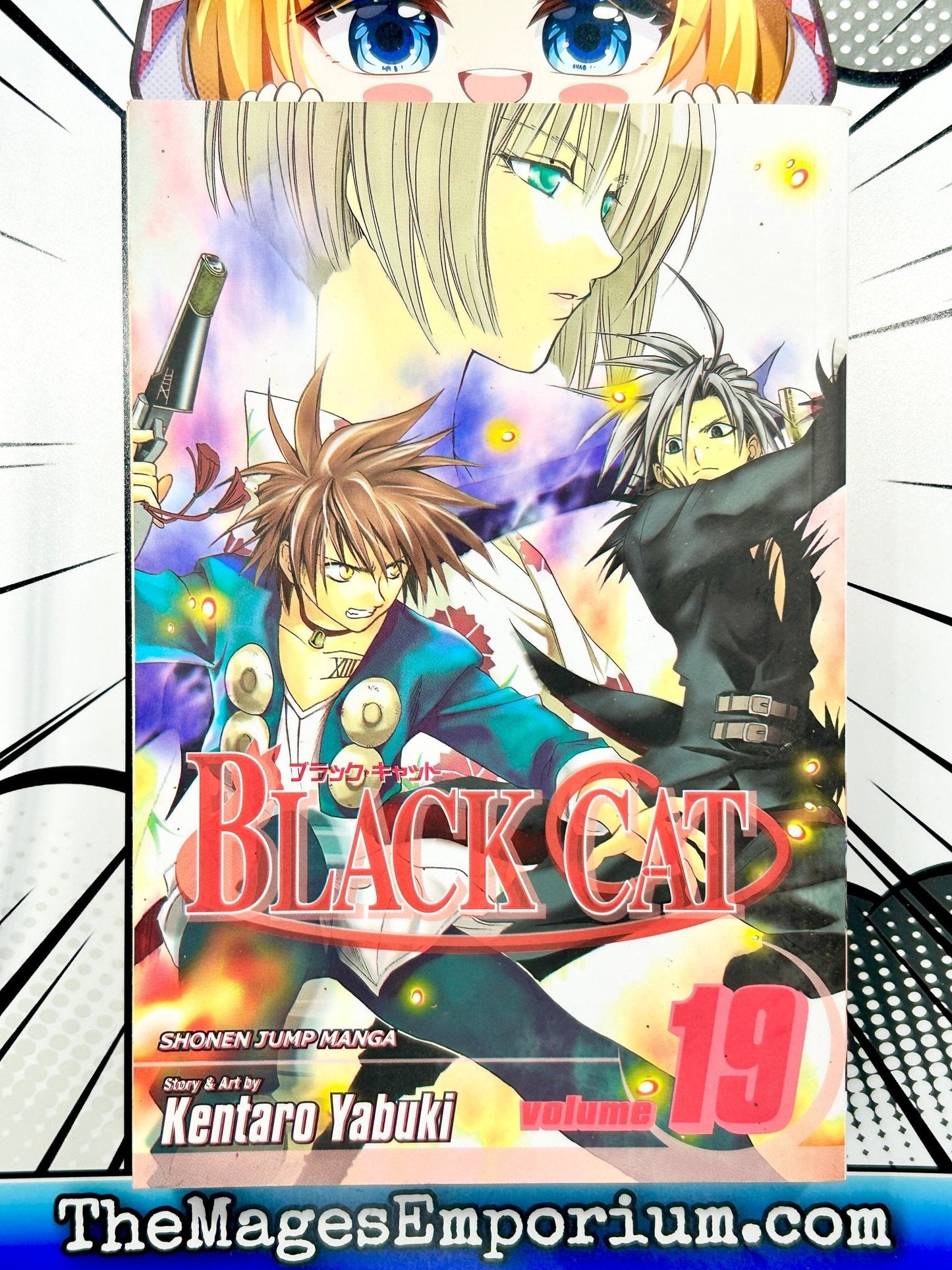 Black Cat Vol 19