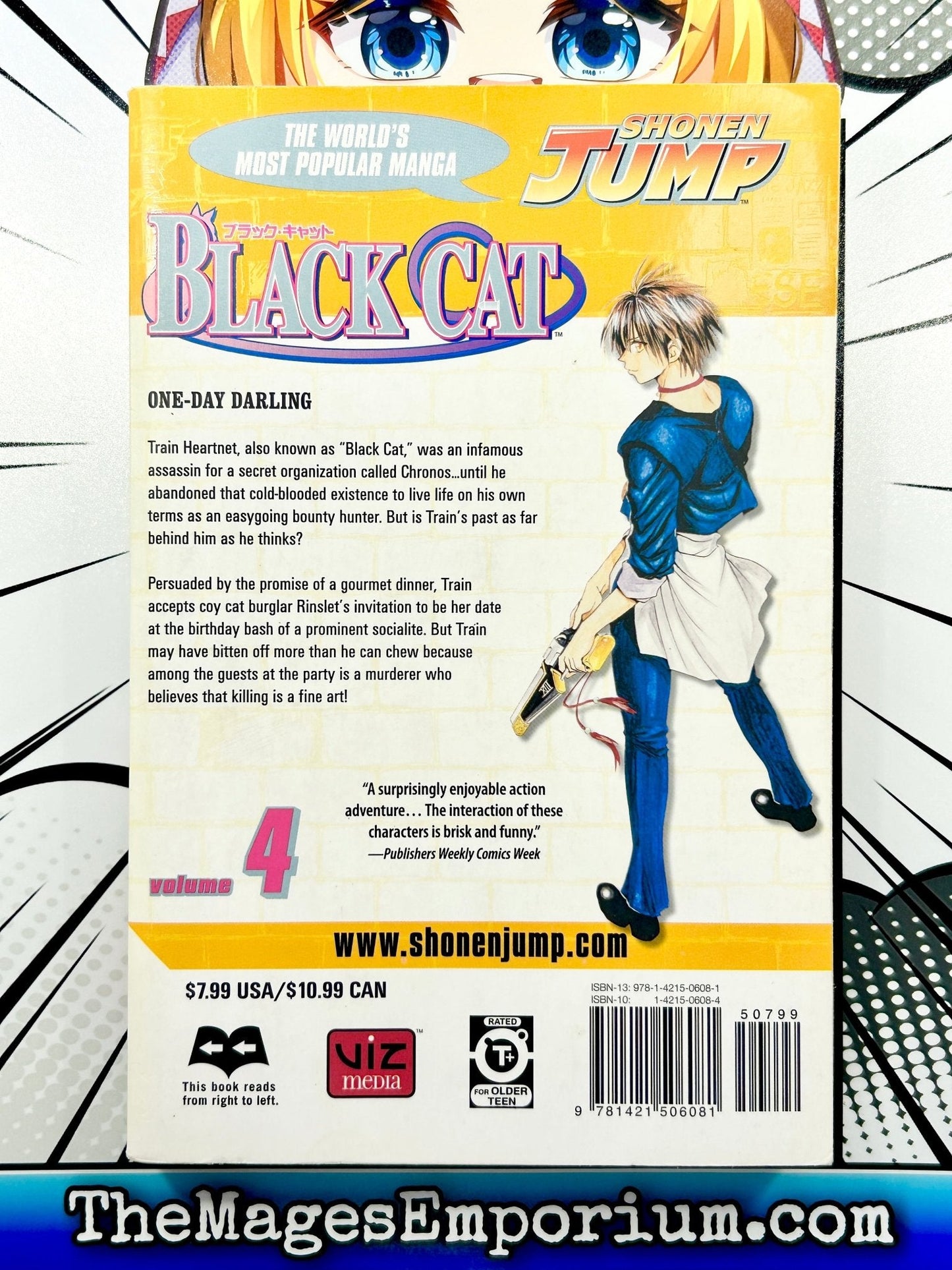 Black Cat Vol 4