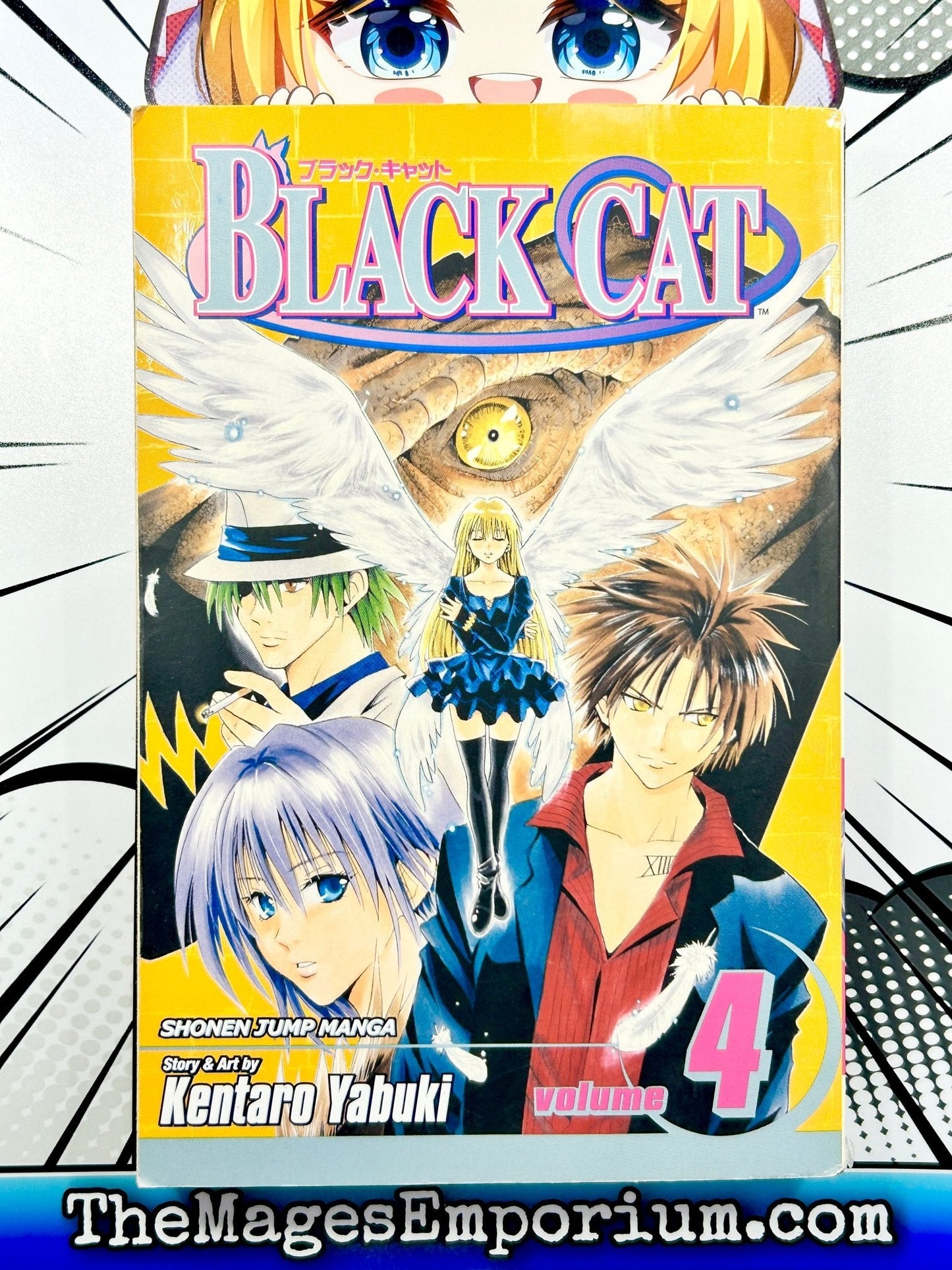 Black Cat Vol 4