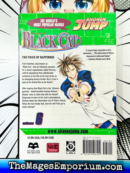 Black Cat Vol 6