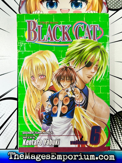 Black Cat Vol 6